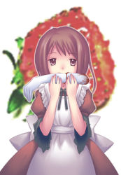 Rule 34 | apron, blood, bow, brown eyes, brown hair, cannibalism, dress, food, fruit, guro, maid, maid apron, solo, strawberry