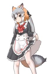 Rule 34 | 1girl, alternate costume, animal ears, apron, black bow, black dress, bow, clothes lift, collar, cowboy shot, dress, dress lift, enmaided, extra ears, fox ears, fox girl, fox tail, frilled collar, frills, grey hair, hair bow, highres, island fox (kemono friends), kemono friends, kemono friends 3, long hair, long sleeves, maid, multicolored hair, necktie, official alternate costume, orange hair, pantyhose, red necktie, solo, tail, twintails, two-tone hair, uf34a, white apron, white pantyhose, yellow eyes