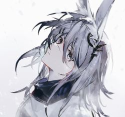 Rule 34 | 1girl, animal ear fluff, animal ears, arknights, cheonyeon-hi, coat, ear ornament, expressionless, frostnova (arknights), grey eyes, grey hair, hair between eyes, hair ornament, hairclip, head tilt, highres, long hair, looking at viewer, messy hair, rabbit ears, scar, scar on face, scar on nose, simple background, solo, white background, white coat