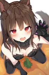 Rule 34 | &gt;:o, 1girl, animal ears, black thighhighs, blush, breasts, brown hair, character request, cleavage, copyright request, eyes visible through hair, fang, from above, fur collar, fur gloves, hair between eyes, halloween, highres, long hair, looking at viewer, medium breasts, mizuki ryuu, pumpkin, red eyes, seiza, sitting, skin fang, solo, tagme, tail, thighhighs, v-shaped eyebrows