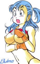 Rule 34 | 1girl, blue eyes, blue hair, breast hold, breasts, bulma, clothes lift, dragon ball, female focus, fingerless gloves, gloves, long hair, matching hair/eyes, nipples, open mouth, shirt lift, side ponytail, simple background, solo, vector trace