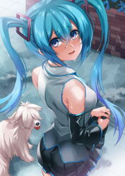 Rule 34 | 1girl, :d, black skirt, black sleeves, blue eyes, blue hair, breasts, detached sleeves, dog, from above, grey shirt, hair between eyes, hatsune miku, highres, inue ao, long hair, long sleeves, looking at viewer, looking back, medium breasts, miniskirt, open mouth, outdoors, pleated skirt, rain, shirt, skirt, sleeveless, sleeveless shirt, smile, solo, twintails, very long hair, vocaloid, wet, wet hair, wringing clothes, wringing skirt