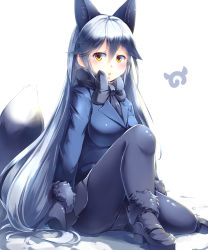 Rule 34 | 10s, 1girl, :o, absurdres, animal ears, black bow, black bowtie, black gloves, black pantyhose, blue jacket, blush, bow, bowtie, breasts, commentary request, crotch seam, fox ears, fox girl, fox tail, fur-trimmed sleeves, fur trim, gloves, hair between eyes, highres, jacket, japari symbol, kanzakietc, kemono friends, long hair, long sleeves, looking at viewer, open mouth, panties, panties under pantyhose, pantyhose, pleated skirt, shoes, silver fox (kemono friends), silver hair, simple background, sitting, skirt, solo, tail, underwear, white background, yellow eyes