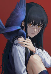 Rule 34 | 1girl, beak, bird, black hair, blue bird, chainsaw man, commentary request, highres, long bangs, long hair, looking at viewer, red background, ringed eyes, scar, scar on face, shirt, sidelocks, simple background, solo, talons, teeth, white shirt, yellow eyes, yoru (chainsaw man), yukiwhite 0418