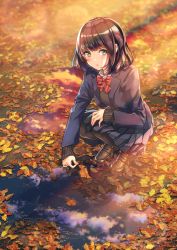 Rule 34 | 1girl, black hair, black pantyhose, blazer, blush, bow, bowtie, brown eyes, cloud, highres, holding, holding leaf, jacket, leaf, loafers, looking at viewer, looking up, open mouth, original, outdoors, pantyhose, pleated skirt, puddle, reflection, ripples, school uniform, shoes, short hair, skirt, sky, solo, squatting, sweater, uniform, water, yuu knmy