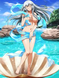 Rule 34 | 1girl, breasts, chouun shiryuu, day, closed eyes, fine art parody, full body, head tilt, highres, ikkitousen, large breasts, long hair, nude, outdoors, parody, smile, solo, sparkle, standing, the birth of venus, very long hair, water, white hair
