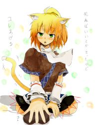 Rule 34 | 1girl, ahoge, animal ears, black skirt, blonde hair, blush, breasts, brown shirt, candy, cat ears, cat girl, cat tail, chocolate, chocolate heart, commentary request, food, full body, green eyes, heart, highres, kemonomimi mode, looking at viewer, mizuhashi parsee, open mouth, pointy ears, sash, scarf, seiza, shirt, short hair, short ponytail, short sleeves, sitting, skirt, small breasts, solo, tail, tkr (zaviel2), touhou, translation request, valentine, white background, white sash, white scarf
