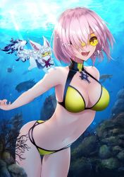 Rule 34 | 1girl, 1other, armpits, bad id, bad twitter id, bikini, blue capelet, breasts, bubble, capelet, cleavage, collarbone, cowboy shot, craft essence (fate), creature, cross, cross necklace, day, diving, fate/grand order, fate (series), fish, fou (fate), hair over one eye, halterneck, highres, jewelry, light purple hair, looking at viewer, mash kyrielight, mash kyrielight (dive to blue), medium breasts, navel, necklace, ocean, official alternate costume, open mouth, red neckwear, short hair, smile, sunglasses, swimming, swimsuit, tinted eyewear, underwater, water, yellow-tinted eyewear, yellow-tinted glasses, yellow bikini, yukihama