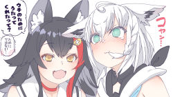 Rule 34 | 2girls, ahoge, animal ear fluff, animal ears, bare shoulders, black hair, blank eyes, blush, chinese commentary, choker, commentary request, fangs, fox ears, fox girl, green eyes, hair between eyes, hair in own mouth, hair ornament, hairclip, hololive, hood, hoodie, long hair, looking at another, multicolored hair, multiple girls, ookami mio, ookami mio (1st costume), open mouth, red choker, red hair, shirakami fubuki, shirakami fubuki (1st costume), sidelocks, simple background, tataki tuna, translation request, two-tone hair, upper body, virtual youtuber, white background, white hair, white hoodie, wolf ears, wolf girl, yellow eyes