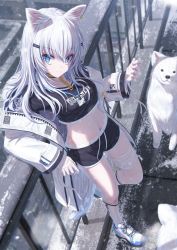 Rule 34 | &gt;:), 1girl, absurdres, against railing, animal, animal ear fluff, animal ears, bae.c, bandaged hand, bandaged leg, bandages, black shirt, black shorts, blue eyes, blurry, blurry background, building, chain, choker, closed mouth, commentary, crop top, day, depth of field, dog, dolphin shorts, drawstring, ear piercing, english commentary, extra ears, hair between eyes, hair ornament, hairclip, highres, huge filesize, jacket, kneehighs, long hair, long sleeves, looking at viewer, midriff, navel, off shoulder, open clothes, open jacket, original, outdoors, piercing, railing, rooftop, saye (bae.c), shirt, shoes, short shorts, shorts, silver hair, sleeves past wrists, smile, snow, snowing, socks, solo, standing, standing on one leg, sunlight, tsumi no hahen (debris), v-shaped eyebrows, white footwear, white jacket, white socks, yellow choker