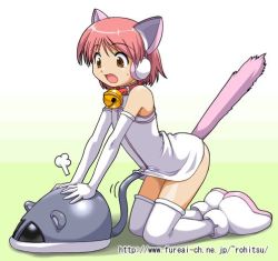 Rule 34 | animal ears, cat ears, cat tail, collar, elbow gloves, flat chest, gloves, kneeling, mouse (animal), open mouth, short hair, skirt, tail, thighhighs