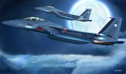 Rule 34 | aircraft, airplane, artist name, bird, commentary, decal, eagle, f-15 eagle, f-15j, f-15 eagle, fighter jet, flying, i.t.o daynamics, japan air self-defense force, japan self-defense force, jet, military, military vehicle, missile, moon, real life, realistic, vehicle focus