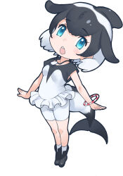 Rule 34 | 1girl, black hair, blue eyes, cetacean tail, commerson&#039;s dolphin (kemono friends), dolphin girl, fins, fish tail, highres, kemono friends, looking at viewer, multicolored hair, official art, open mouth, simple background, solo, tachi-e, tail, two-tone hair, white hair, yoshizaki mine