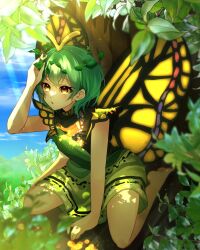 Rule 34 | 1girl, :o, antennae, arm support, bare legs, barefoot, black dress, blue hair, breasts, brown eyes, butterfly wings, commentary request, day, dress, eternity larva, fairy, full body, grass, green dress, hand on headwear, highres, insect wings, leaf, leaf on head, multicolored clothes, multicolored dress, outdoors, short hair, short sleeves, sitting, small breasts, soles, solo, touhou, tree, wariza, wings, yellow wings, yoshino (q sci)