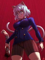 Rule 34 | 1girl, :3, animal ears, artist name, bike shorts, breasts, cat ears, cat tail, highres, hunter x hunter, jmg, large breasts, looking at viewer, looking down, neferpitou, red background, short hair, signature, smile, solo, tail, thighs, white hair, yellow eyes