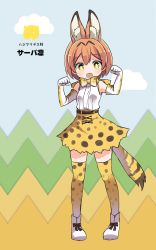 Rule 34 | 10s, 1girl, :d, animal ears, belt, bow, bowtie, cosplay, elbow gloves, full body, gloves, hoshizora rin, japari symbol, kemono friends, kemonomimi mode, love live!, love live! school idol project, open mouth, orange hair, partially translated, paw pose, pigeon-toed, print bow, print gloves, print skirt, print thighhighs, serval (kemono friends), serval (kemono friends) (cosplay), serval print, serval tail, shipii (jigglypuff), shoes, short hair, skirt, sleeveless, smile, solo, standing, tail, thighhighs, translation request, white footwear, yellow eyes