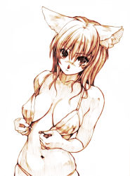 Rule 34 | 1girl, animal ears, bra, breasts, cat ears, cat girl, character request, female focus, hisahiko, large breasts, lingerie, monochrome, solo, source request, underwear, undressing
