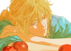 Rule 34 | 1boy, apple, bishounen, blonde hair, blue eyes, blue tunic, food, fruit, hair between eyes, half-closed eyes, head on arm, highres, jiaotang xiaodoudou, light smile, link, long hair, looking to the side, male focus, nintendo, pointy ears, ponytail, sunlight, the legend of zelda, the legend of zelda: breath of the wild, white background
