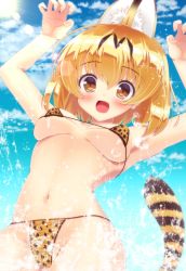 Rule 34 | 10s, 1girl, adapted costume, animal ears, bad id, bad pixiv id, bikini, blonde hair, brown eyes, cat ears, cat tail, highres, kemono friends, kisshii (kic1224), open mouth, serval (kemono friends), serval print, serval tail, short hair, solo, splashing, swimsuit, tail