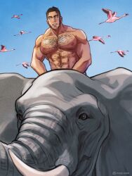 Rule 34 | 1boy, abs, arms at sides, bara, beard stubble, bird, blue sky, blush, buzz cut, elephant, facial hair, golden kamuy, hairy, happy, large pectorals, looking at viewer, male focus, mature male, muscular, muscular male, navel, navel hair, nipples, nopinzo, nude, pectorals, riding, riding animal, short hair, sky, solo, sparse chest hair, sparse navel hair, stomach, strongman waist, stubble, tanigaki genjirou, thick eyebrows, upper body, very short hair