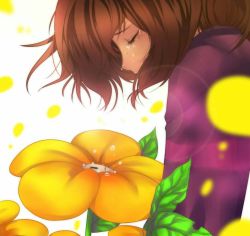 Rule 34 | 1girl, androgynous, brown hair, camille (camiiie), closed eyes, flower, flowey (undertale), frisk (undertale), from side, lens flare, long sleeves, petals, profile, shirt, simple background, striped clothes, striped shirt, tears, undertale, white background