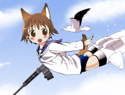 Rule 34 | 00s, 1girl, animal ears, bird, brown eyes, brown hair, day, drum magazine, flying, gun, highres, lee (colt), magazine (weapon), miyafuji yoshika, school uniform, seagull, short hair, sky, solo, strike witches, striker unit, swimsuit, swimsuit under clothes, tail, weapon, world witches series