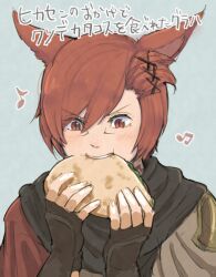 Rule 34 | 1boy, :t, animal ears, blue background, brown gloves, cat ears, cloak, eating, final fantasy, final fantasy xiv, fingerless gloves, g&#039;raha tia, gloves, male focus, miqo&#039;te, musical note, nomu poncha, open mouth, red eyes, red hair, short hair, simple background, slit pupils, solo, taco, translation request