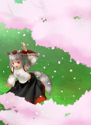 Rule 34 | 1girl, animal ears, arm up, armpits, bridal gauntlets, cherry blossoms, detached sleeves, from above, grass, hat, highres, inubashiri momiji, leaning forward, looking at viewer, noronosuke, open mouth, petals, pom pom (clothes), red eyes, shade, short hair, silver hair, skirt, solo, tail, tokin hat, touhou, branch, vest, wolf ears, wolf tail