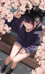Rule 34 | 1girl, adjusting clothes, adjusting headwear, arm up, black footwear, black hair, black hat, blue archive, blue hoodie, blue shorts, casual, cherry blossoms, closed mouth, commentary request, couch, denim, denim shorts, hat, highres, hood, hood down, hoodie, kazusa (blue archive), long sleeves, looking at viewer, looking up, on couch, outdoors, red eyes, shoes, shorts, sitting, smile, solo, su-102, thighs