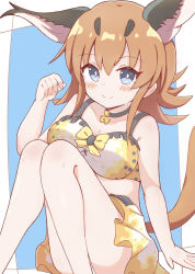 Rule 34 | 1girl, animal ears, arm support, bare arms, bare shoulders, bikini, black choker, blue background, blue eyes, blush, breasts, brown hair, caracal (kemono friends), choker, cleavage, closed mouth, collarbone, feet out of frame, hand up, highres, japari symbol, kemono friends, knees together feet apart, knees up, long hair, looking at viewer, medium breasts, smile, solo, sunanuko (ramuneko), swimsuit, tail, two-tone background, white background, white bikini, yellow bikini