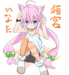 Rule 34 | 1girl, ahoge, animal ear fluff, animal ears, armpits, arms up, asymmetrical legwear, bike shorts, blue eyes, boots, cat ears, choker, clenched hands, hair bobbles, hair ornament, highres, hinata channel, long hair, low twintails, mismatched legwear, nekomiya hinata, orange thighhighs, paw pose, shorts, sketch, solo, striped clothes, striped thighhighs, thighhighs, twintails, vest, virtual youtuber, watch, white footwear, white vest, wristwatch, yamaguchi satoshi