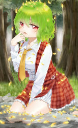 Rule 34 | 1girl, barefoot, blouse, blush, breasts, chikamichi (nicovideo15654758), chikamichi (ssssgirl), eyebrows hidden by hair, falling petals, female focus, finger to mouth, forest, green hair, hair intakes, kazami yuuka, kneeling, leaf, leaf on head, looking at viewer, nature, necktie, object on head, petals, plaid, plaid skirt, plaid vest, red eyes, shirt, short hair, sitting, skirt, skirt set, solo, submerged, touhou, tree, vest, wariza, water, white shirt, yellow necktie