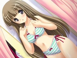Rule 34 | 1girl, blue eyes, blush, bow, bow bra, bow panties, bra, breasts, brown hair, cleavage, dressing room, dutch angle, game cg, hime (neko no hime), lingerie, long hair, navel, neko no hime, panties, solo, striped bra, striped clothes, striped panties, underwear, underwear only, very long hair, walk-in, yameta takashi
