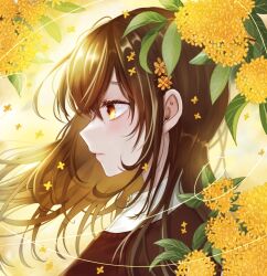 Rule 34 | 1girl, blush, brown hair, expressionless, flower, from side, gold osmanthus, hair flower, hair ornament, highres, long hair, original, portrait, profile, solo, suzuko (suzukosz), sweater, yellow eyes