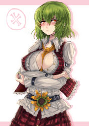 Rule 34 | 1girl, ascot, belt, between breasts, blush, breast hold, breasts, cleavage, crossed arms, female focus, flower, green hair, kazami yuuka, large breasts, nail polish, panzer (p.z), red eyes, short hair, solo, sunflower, tears, touhou