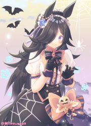 Rule 34 | 1girl, animal ears, bat (animal), bat wings, black gloves, black hair, black hairband, black wings, blue flower, blue rose, bow, bug, center frills, closed mouth, commentary, fang, flower, frilled hairband, frilled sleeves, frills, gloves, hair over one eye, hairband, halloween, high-waist skirt, highres, hiiro yuya, horse, horse ears, horse girl, horse tail, jack-o&#039;-lantern ornament, long bangs, long hair, looking at viewer, medium skirt, official alternate costume, orange bow, puffy short sleeves, puffy sleeves, purple eyes, rice shower (make up vampire!) (umamusume), rice shower (umamusume), rose, shirt, short sleeves, silk, skin fang, skirt, smile, solo, spider, spider web, spider web print, standing, star (symbol), tail, twitter username, umamusume, white shirt, wings
