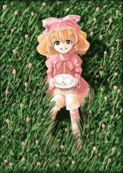 Rule 34 | 00s, 1girl, amano takumi, blonde hair, bloomers, bow, dress, drill hair, flower, grass, green eyes, grin, hair bow, hinaichigo, holding, long sleeves, looking at viewer, outdoors, pink bow, pink dress, plate, rozen maiden, short hair, sitting, smile, solo, underwear, white bloomers