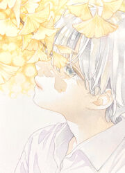 Rule 34 | 1boy, absurdres, bishounen, branch, closed mouth, collared shirt, commentary, ginkgo tree, ginkgo leaf, grey eyes, highres, leaf, long bangs, male focus, original, painting (medium), portrait, shirt, short hair, simple background, solo, traditional media, watercolor (medium), white background, white hair, white shirt, yufushi