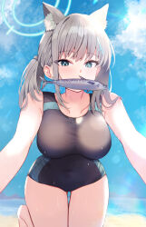 Rule 34 | 1girl, animal ears, aqua eyes, blue archive, blush, breasts, competition swimsuit, covered navel, earrings, extra ears, fish, grey hair, halo, highres, jewelry, large breasts, looking at viewer, mi taro333, mismatched pupils, mouth hold, official alternate costume, one-piece swimsuit, outdoors, ponytail, shiroko (blue archive), shiroko (swimsuit) (blue archive), solo, stud earrings, swimsuit, thigh gap, wolf ears