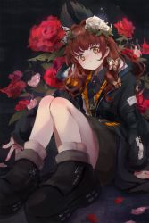 Rule 34 | 1girl, animal, animal ears, black footwear, black jacket, black shirt, black skirt, blush, brown hair, bug, butterfly, closed mouth, collared shirt, commentary request, copyright request, flower, hair flower, hair ornament, head tilt, highres, insect, jacket, light smile, long hair, long sleeves, looking at viewer, open clothes, open jacket, petals, red flower, red rose, rose, rose petals, sha2mo, shirt, shoes, sitting, skirt, sleeves past wrists, solo, white flower, white rose, yellow eyes