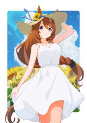 Rule 34 | 1girl, alternate costume, animal ears, arm up, bare shoulders, blue eyes, blue sky, border, braid, braided ponytail, breasts, brown hair, cleavage, cloud, cloudy sky, commentary request, cowboy shot, dress, field, flower, flower field, hat, highres, horse ears, horse girl, horse tail, large breasts, long hair, looking at viewer, multicolored hair, outdoors, shiromaru illust, sky, smile, solo, straw hat, streaked hair, sun hat, sundress, sunflower, sunflower field, super creek (umamusume), tail, umamusume, very long hair, white border, white hair