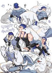 Rule 34 | 1boy, 2others, animal, armor, belt, biceps, blue hair, bracelet, capelet, closed eyes, cu chulainn (caster) (fate), cu chulainn (fate), dog, elbow gloves, fang, fate/grand order, fate (series), from behind, full body, fur-trimmed hood, fur trim, gloves, greaves, harem pants, highres, hood, hood down, hooded capelet, jewelry, long hair, male focus, multiple others, multiple views, muscular, muscular male, nozawa, pants, paw print, petting, red eyes, simple background, sitting, skin tight, sleeping, smile, spiked hair, standing, tail, tail wagging, tank top, toeless footwear, white wolf, wolf