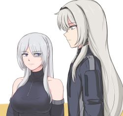 Rule 34 | 2girls, ak-15 (girls&#039; frontline), an-94 (girls&#039; frontline), bare shoulders, black jacket, blue eyes, breasts, collarbone, commentary, eyes visible through hair, flat chest, girls&#039; frontline, grey hair, hair over one eye, hairband, jacket, large breasts, long hair, looking at another, meme, multiple girls, girl staring at guys chest (meme), purple eyes, selby, sidelocks, sleeveless, upper body, white background