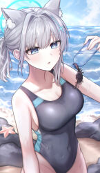 Rule 34 | absurdres, animal ear fluff, animal ears, black one-piece swimsuit, blue archive, blue eyes, blue sky, bottle, breasts, cleavage, cloud, competition swimsuit, covered navel, crab, cross hair ornament, day, dieen, extra ears, grey hair, hair ornament, halo, highres, low ponytail, medium breasts, medium hair, mismatched pupils, multicolored clothes, multicolored swimsuit, official alternate costume, one-piece swimsuit, outdoors, rock, shiroko (blue archive), shiroko (swimsuit) (blue archive), sky, standing, starfish, swimsuit, wolf ears