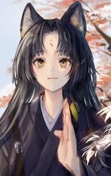 Rule 34 | 1girl, animal ears, arknights, black hair, facial mark, forehead mark, fringe trim, fur, highres, japanese clothes, long hair, maple, maple (maplehy), outdoors, saga (arknights), solo, upper body, wide sleeves, yellow eyes
