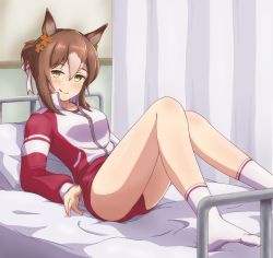 Rule 34 | :p, alternate costume, animal ears, bed, breasts, brown hair, buruma, come hither, commentary request, fine motion (umamusume), full body, green eyes, hair between eyes, highres, horse ears, horse girl, horse tail, jacket, legs, looking at viewer, medium breasts, shiodanx, tail, thighs, tongue, tongue out, track jacket, umamusume