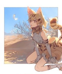 Rule 34 | 1girl, :o, animal ear fluff, animal ears, animal print, arm support, backlighting, bare shoulders, between legs, blonde hair, blue sky, border, bow, bowtie, breast pocket, cat ears, cat girl, cat tail, collarbone, day, desert, elbow gloves, extra ears, feathers, footwear bow, frills, from side, gloves, hair between eyes, hand between legs, high-waist skirt, highres, kemono friends, kneehighs, large bow, looking away, namihaya, open mouth, outdoors, outside border, petticoat, pleated skirt, pocket, print bow, print gloves, print neckwear, print skirt, print socks, sand, sand cat (kemono friends), shade, shirt, shoes, short hair, sitting, skirt, sky, sleeveless, sleeveless shirt, socks, solo, striped bow, striped bowtie, striped clothes, striped tail, sunlight, tail, tail raised, tareme, teeth, upper teeth only, wariza, white border, white footwear, white shirt, yellow bow, yellow eyes