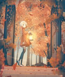 Rule 34 | 1girl, absurdres, autumn, autumn leaves, black thighhighs, blonde hair, blue eyes, blurry, blurry background, blurry foreground, bow, braid, coat, hair bow, highres, holding, holding lantern, lantern, long hair, multicolored hair, outdoors, pleated skirt, sakakidani, skirt, solo, standing, thighhighs, two-tone hair, vocaloid