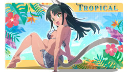 Rule 34 | 1girl, animal ear fluff, animal ears, ass, bare arms, bare legs, bare shoulders, barefoot, bikini, black hair, blush stickers, breasts, cat ears, cat girl, cat tail, commentary request, dark-skinned female, dark skin, floating hair, flower, from behind, highres, knees up, long hair, looking at viewer, looking back, medium breasts, original, print bikini, red flower, romaji text, sitting, soles, solo, swimsuit, tail, tonbi, yellow eyes