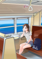 Rule 34 | 1girl, backpack, bag, blue bag, blue shorts, bottle, breasts, brown eyes, brown hair, commentary request, crossed legs, feet out of frame, grin, hand grip, hand on own thigh, head in hand, head rest, highres, looking at viewer, ocean, original, parted bangs, shirt, short hair, short sleeves, shorts, sign, sitting, small breasts, smile, solo, tousai (kiha52122), train interior, unworn backpack, unworn bag, watch, white shirt, window, wristwatch
